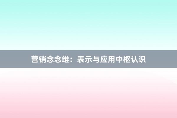 营销念念维：表示与应用中枢认识